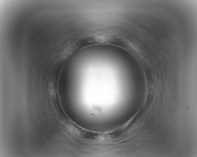 X0000066100317200603131237