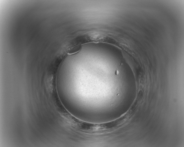 X0000066100319200603131237