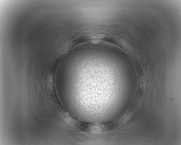 X0000066100321200603131237