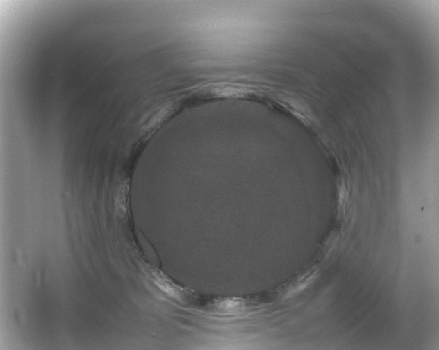 X0000066100325200603131236