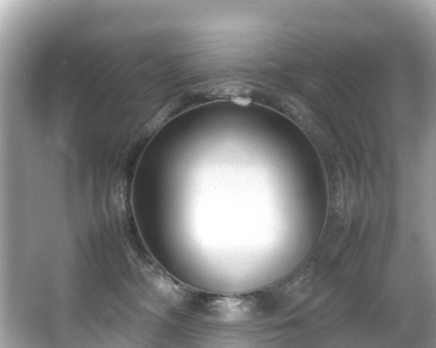 X0000066100326200603131236