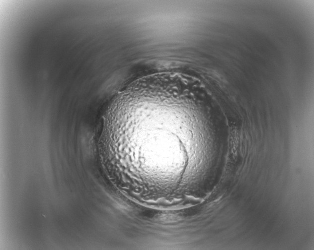 X0000066100327200603131236