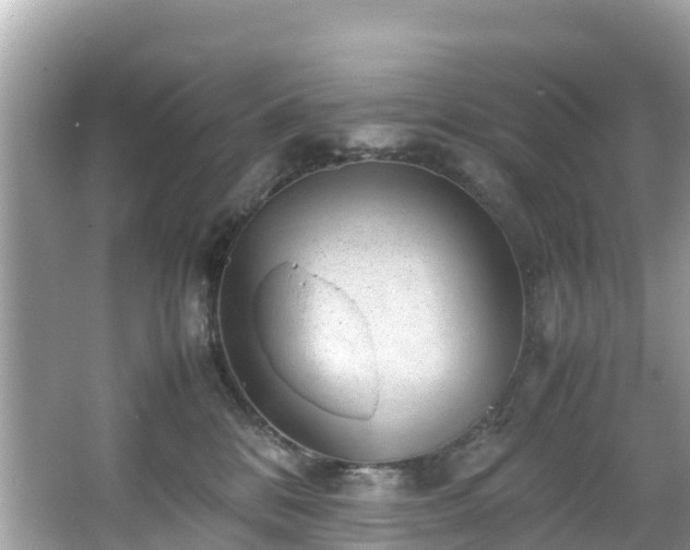 X0000066100328200603131236