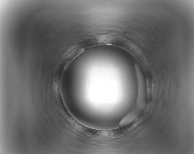 X0000066100329200603131236