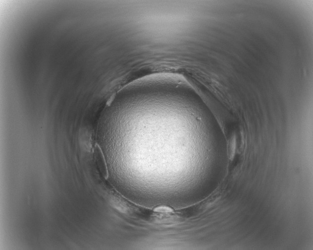 X0000066100331200603131236