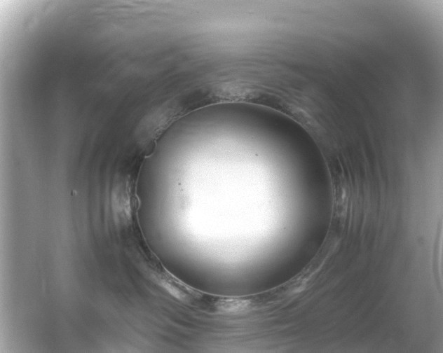 X0000066100334200603131236