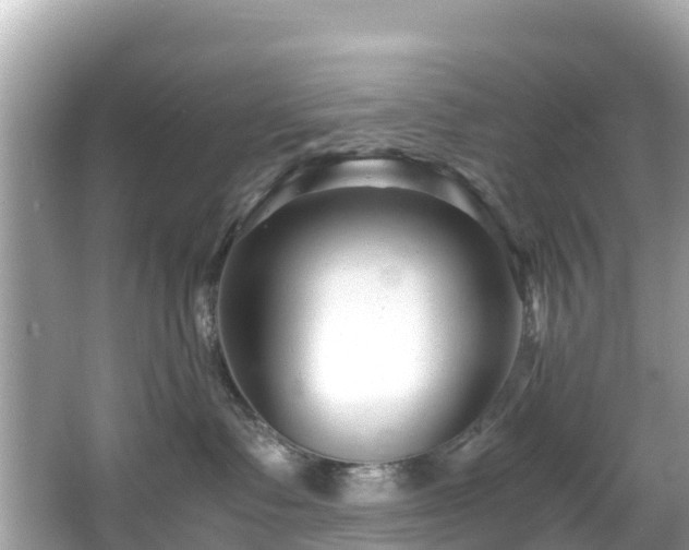 X0000066100335200603131236