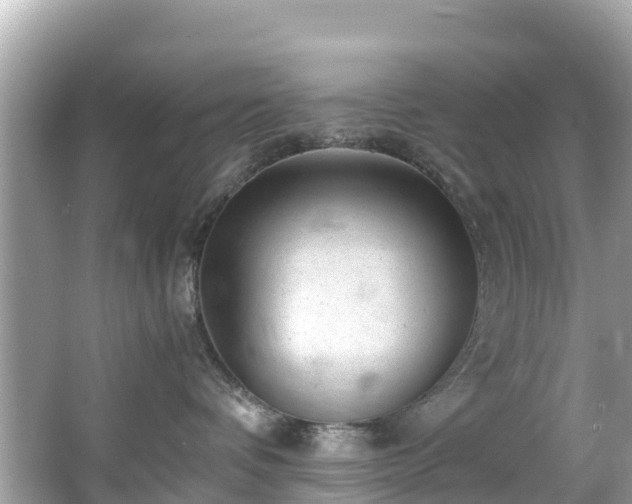 X0000066100336200603131236