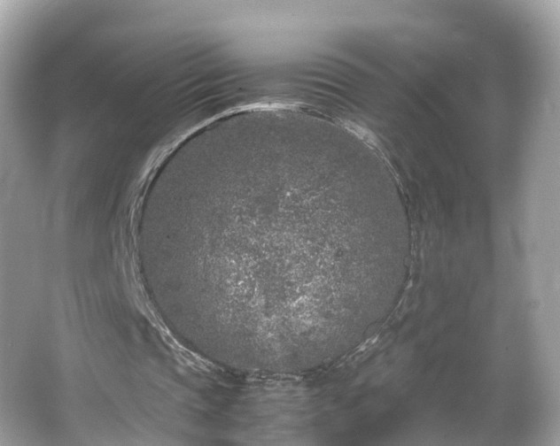 X0000066100337200603131235