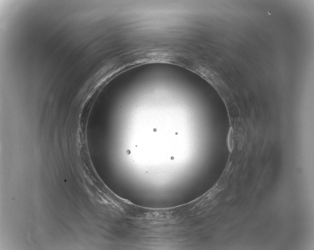 X0000066100338200603131235