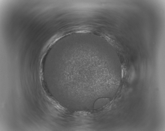 X0000066100339200603131235