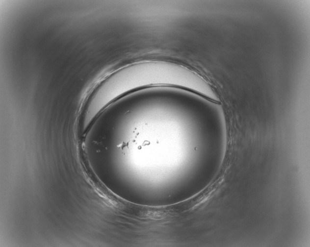 X0000066100341200603131236