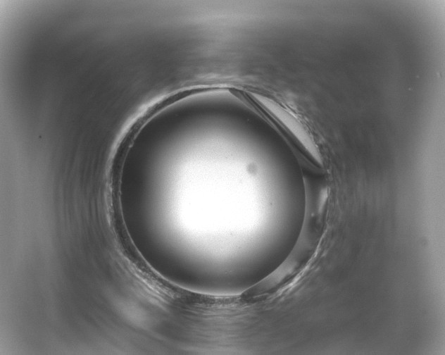 X0000066100342200603131236