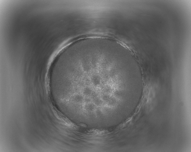 X0000066100343200603131236