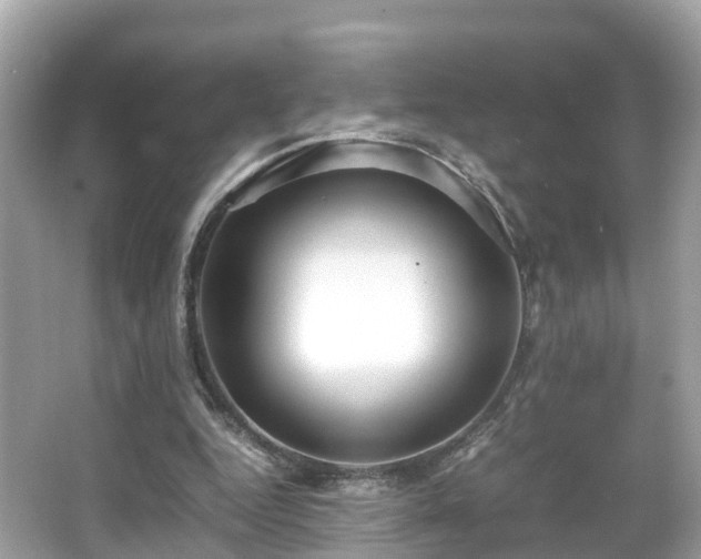 X0000066100344200603131236