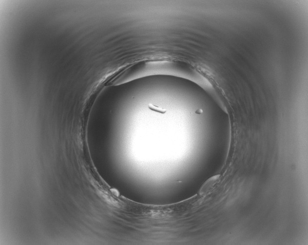 X0000066100345200603131236