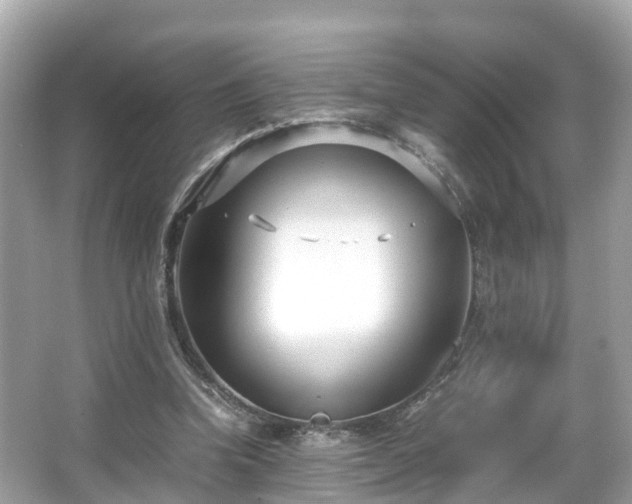 X0000066100346200603131236