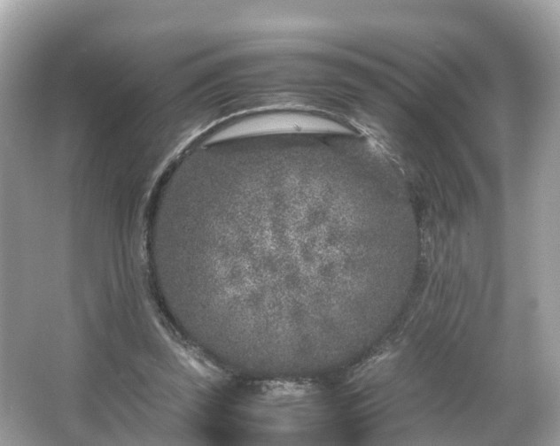 X0000066100347200603131236