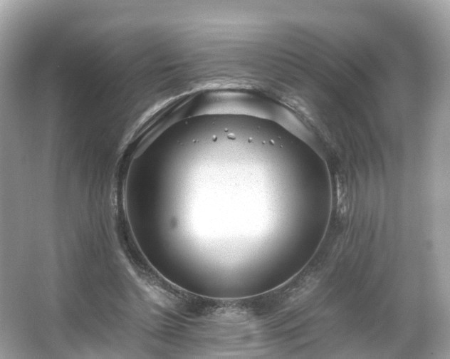 X0000066100348200603131236