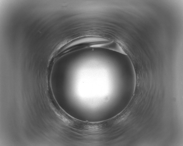 X0000066100349200603131236