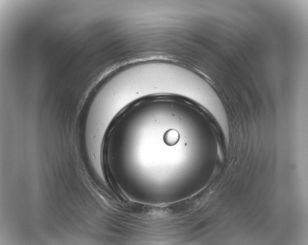 X0000066100350200603131236