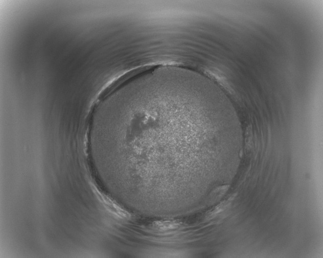 X0000066100351200603131236