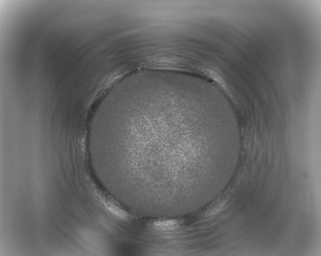 X0000066100357200603131236