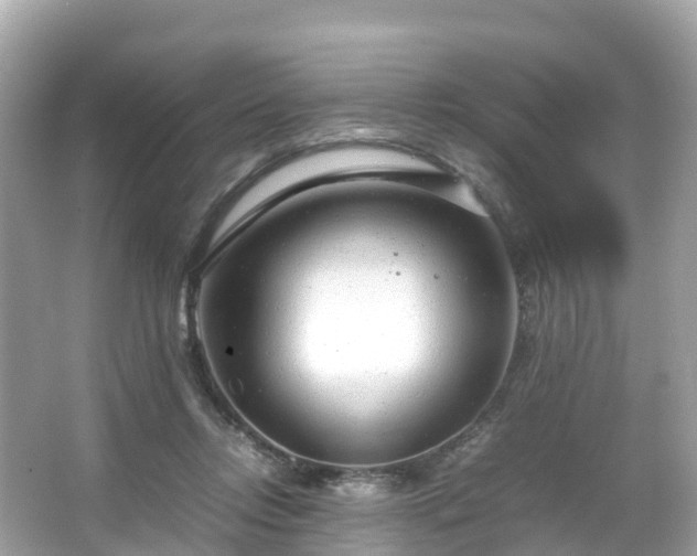 X0000066100358200603131236