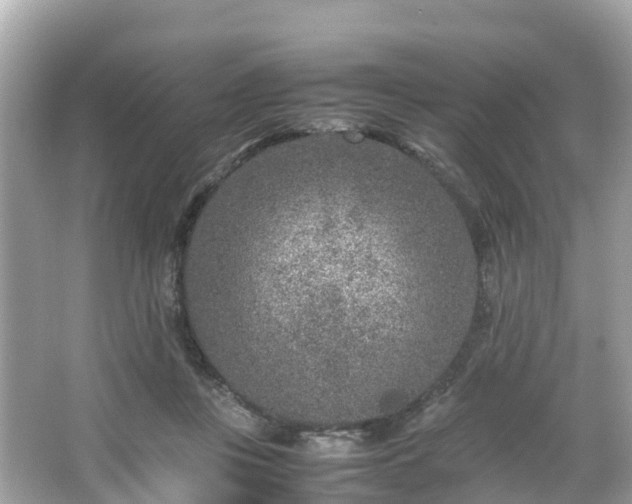 X0000066100359200603131236