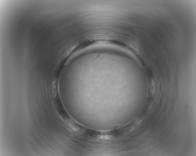 X0000066100360200603131236