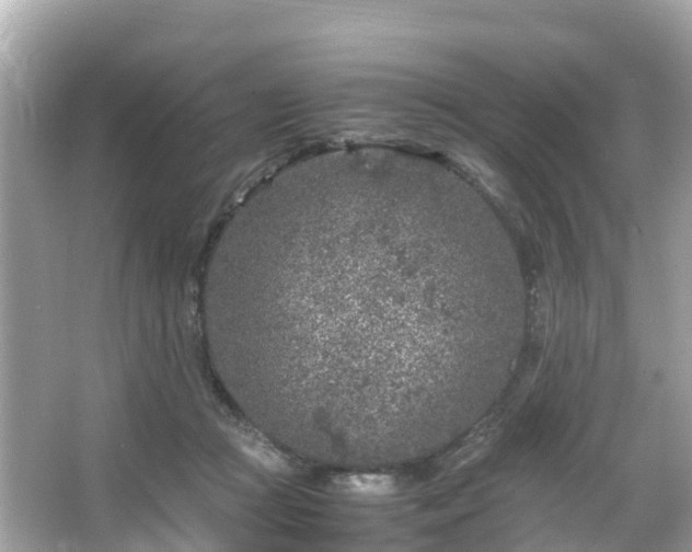 X0000066100361200603131236