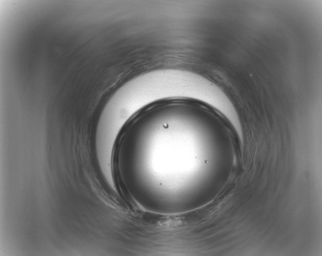 X0000066100362200603131236