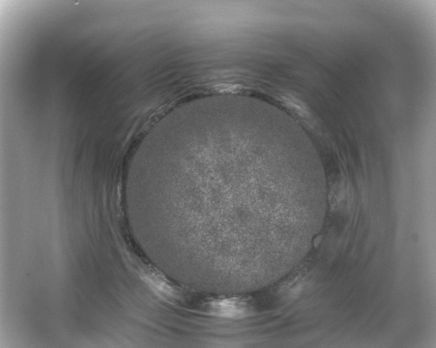 X0000066100365200603131236