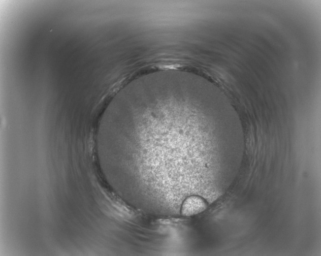 X0000066100367200603131236