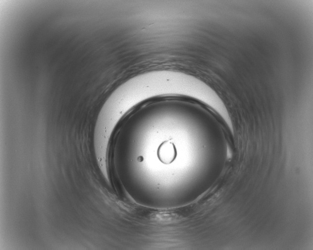 X0000066100372200603131236