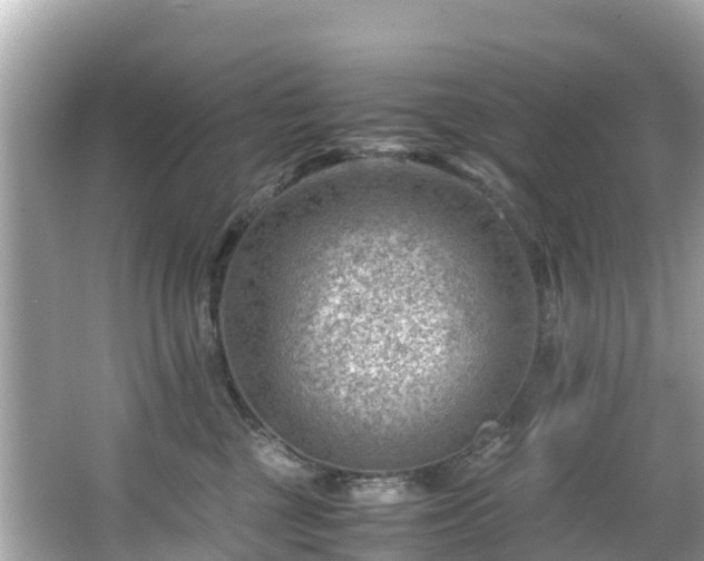 X0000066100377200603131236