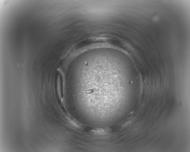 X0000066100381200603131236