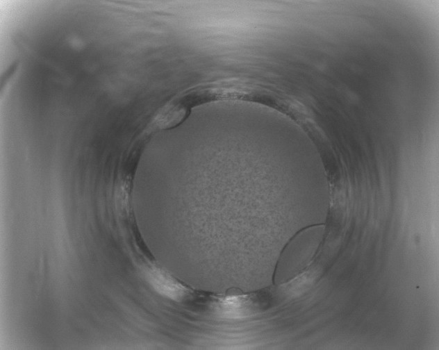 X0000066100382200603131236