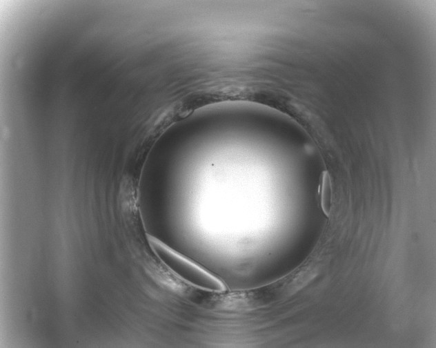 X0000066100384200603131236