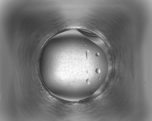 X0000066100385200603131235