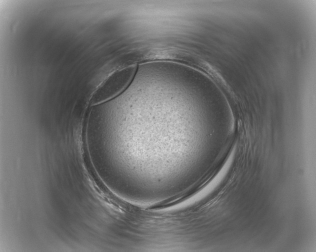 X0000066100386200603131235