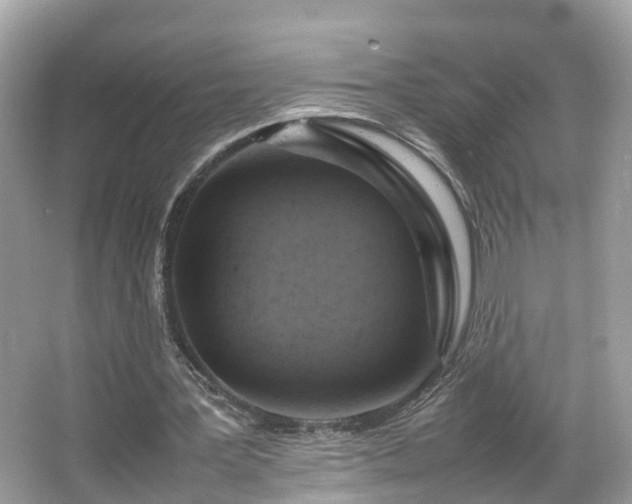 X0000066100387200603131235