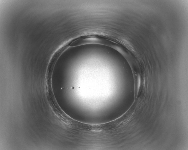 X0000066100388200603131235