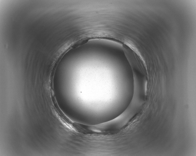 X0000066100389200603131235