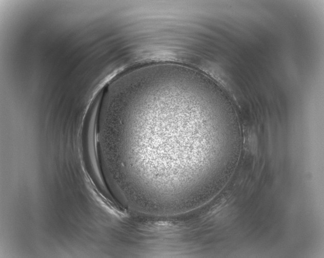 X0000066100390200603131235