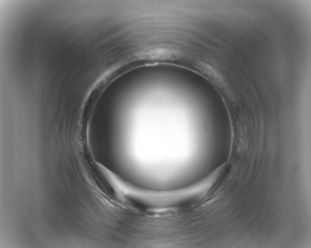 X0000066100392200603131235