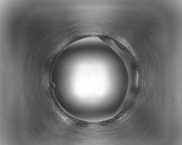 X0000066100393200603131235