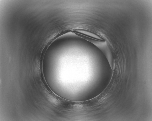 X0000066100394200603131235