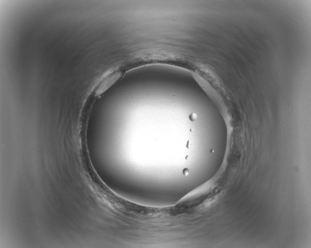 X0000066100395200603131235