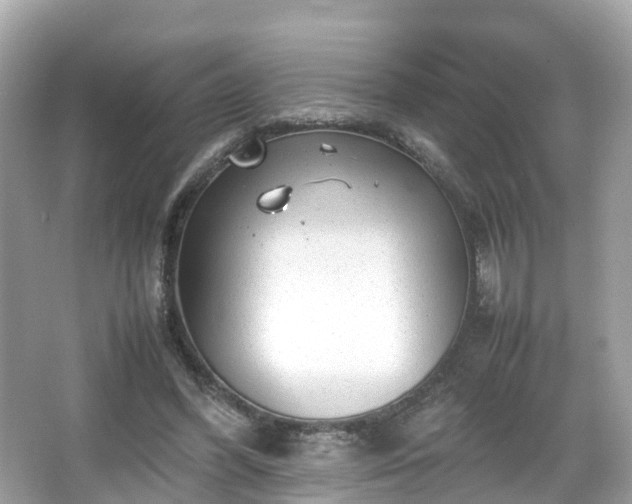 X0000066100396200603131235